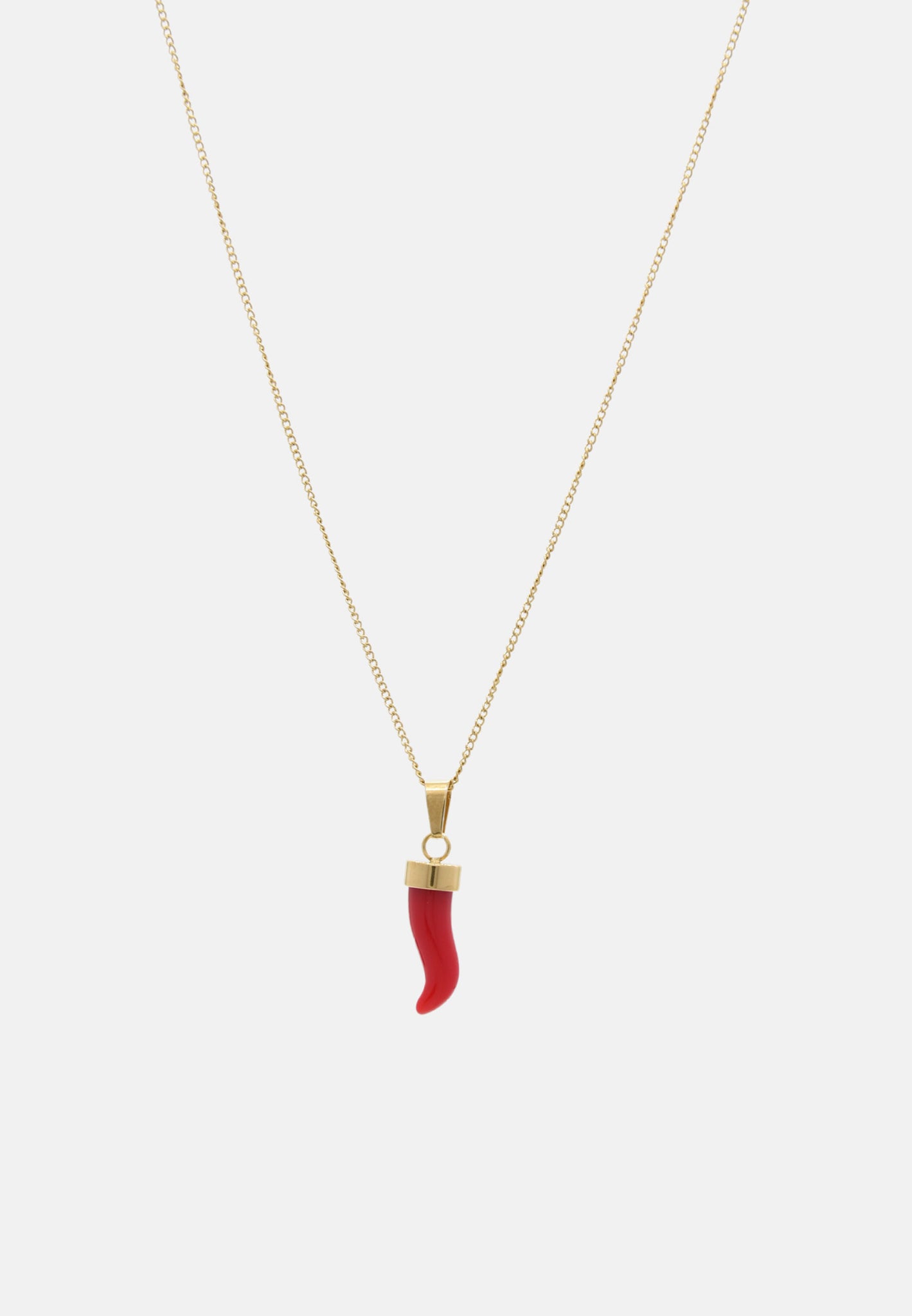 Collier avec corne porte-bonheur